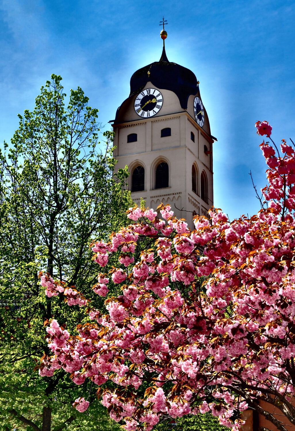 ©Tatjana Wittmer, Kirschblüte auf dem Schrannenplatz in Erding
