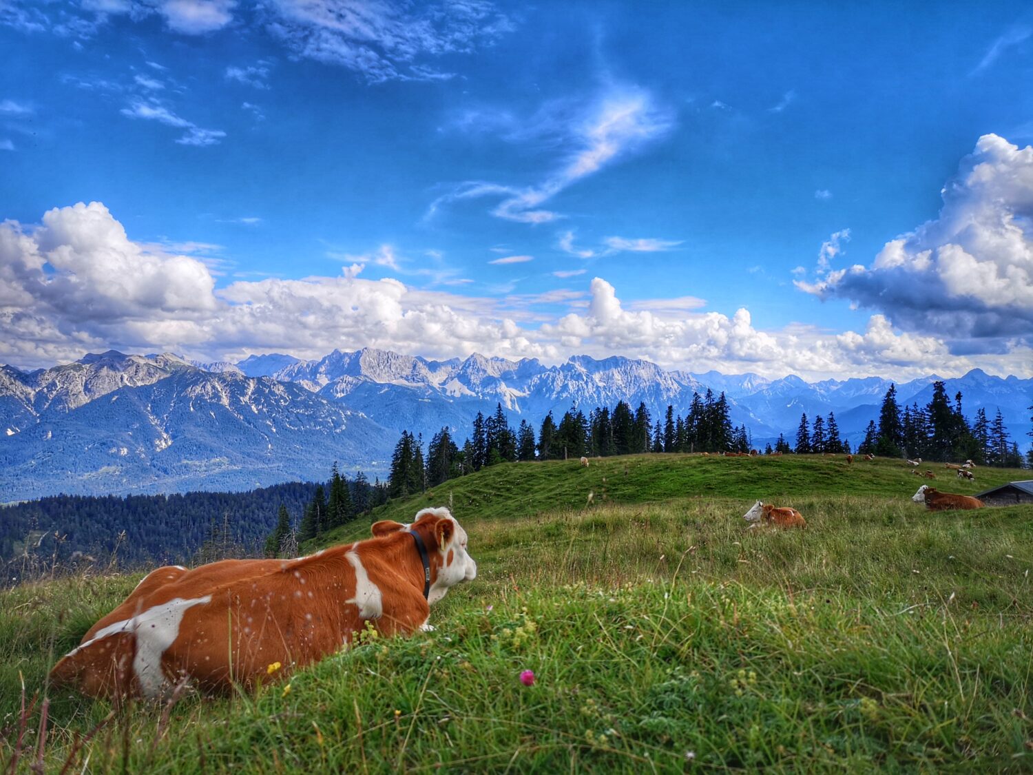 © Andreas Karner, Ausblicke von der Krüner Alm auf die Alpenwelt Karwendel
